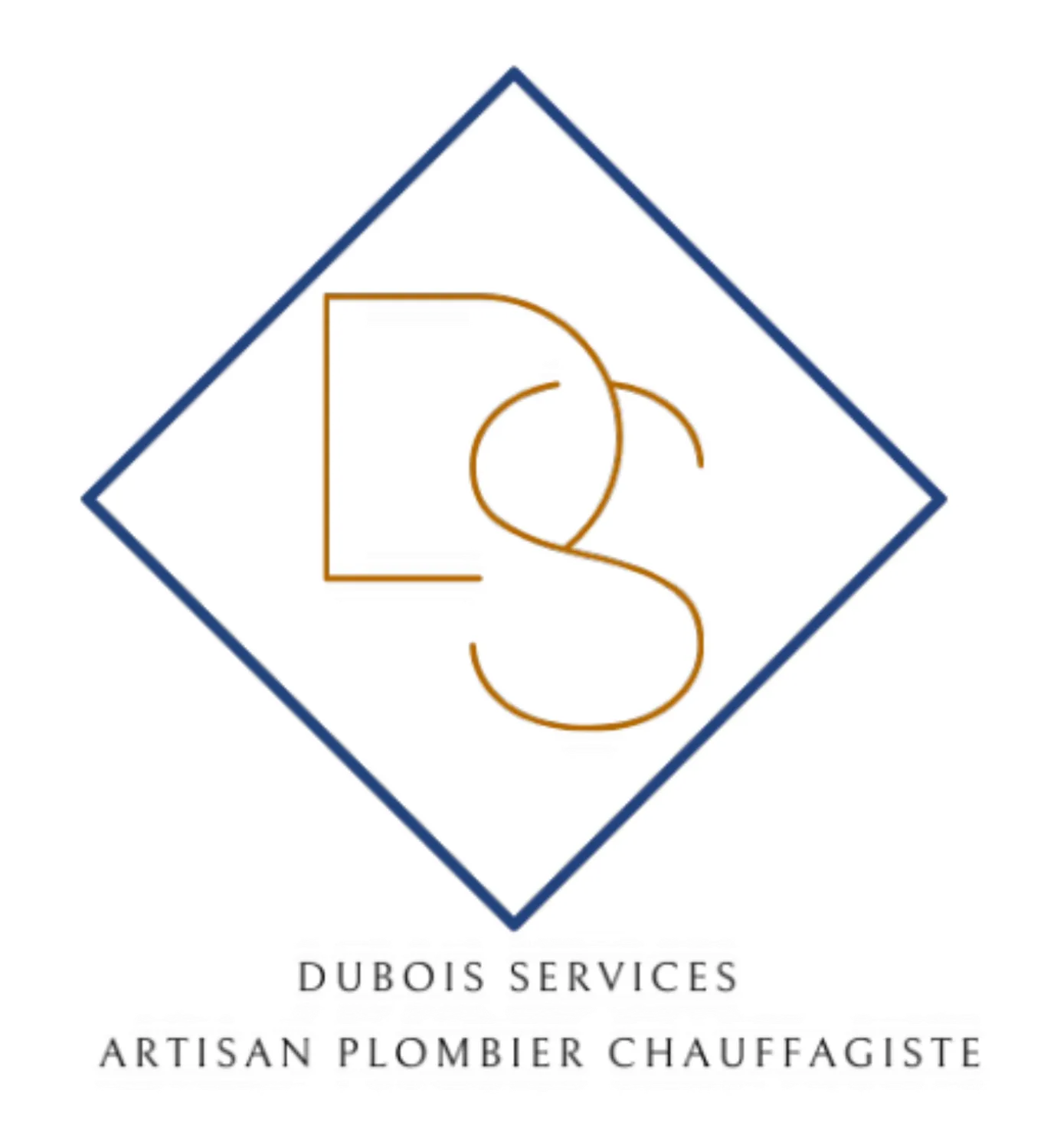 Dubois Services_logo