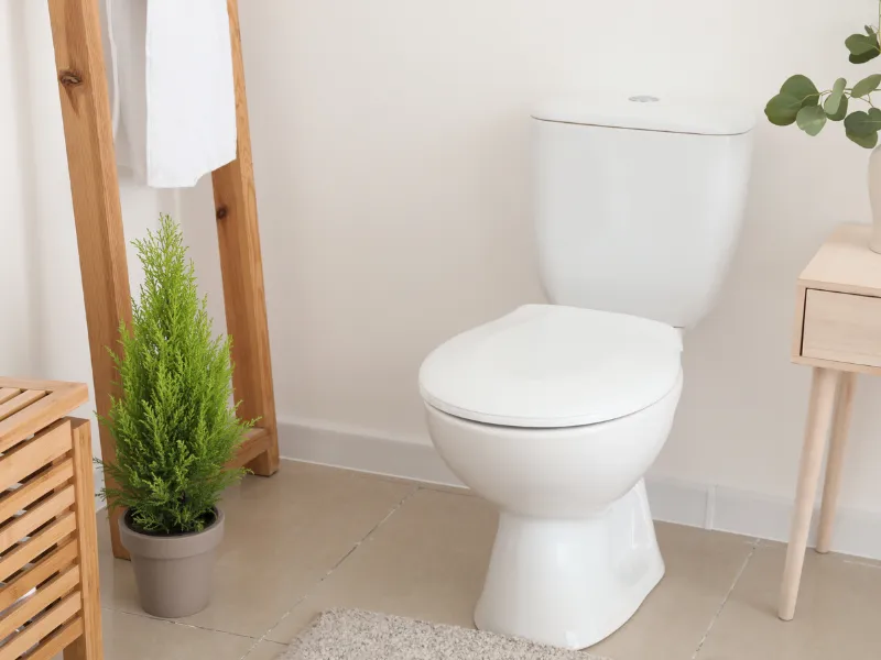 renovation salle de bain pace
